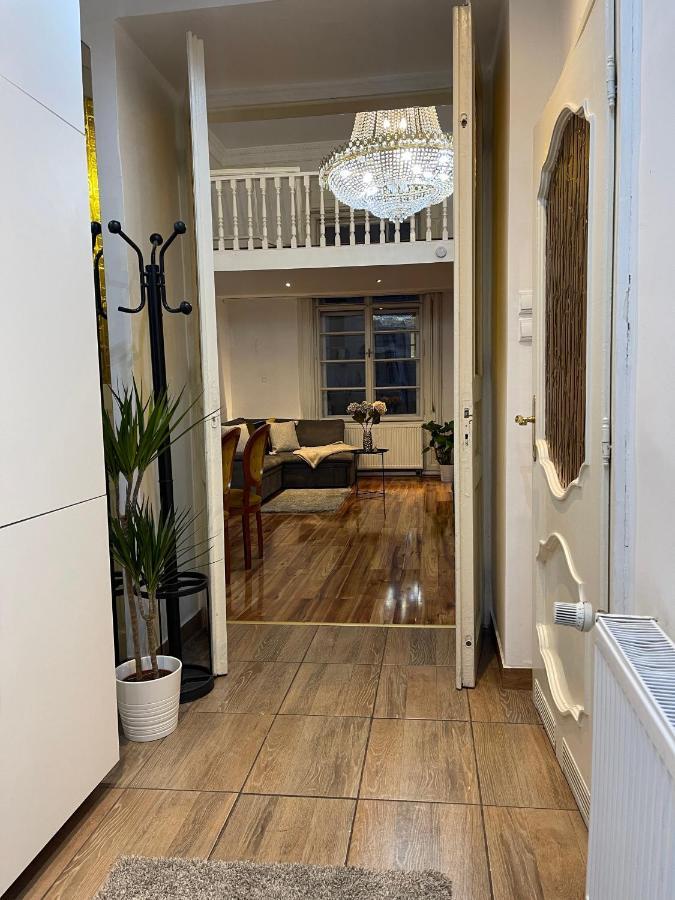 Vintage Home In The Heart Of The City 布达佩斯 外观 照片