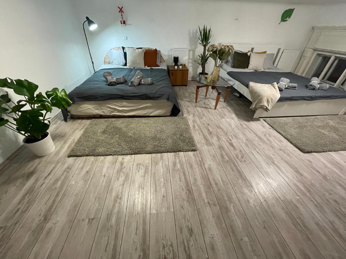 Vintage Home In The Heart Of The City 布达佩斯 外观 照片